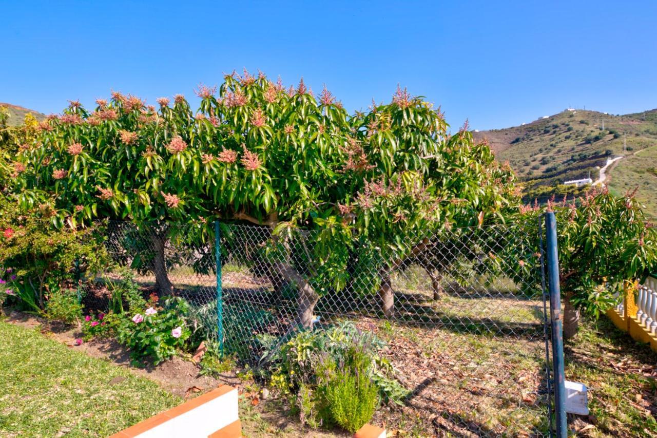 Villa Grillo Torrox Esterno foto
